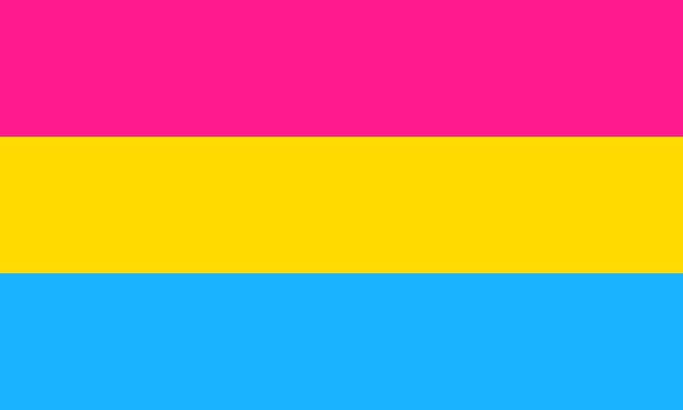 Pansexual Flag Pansexual Flag